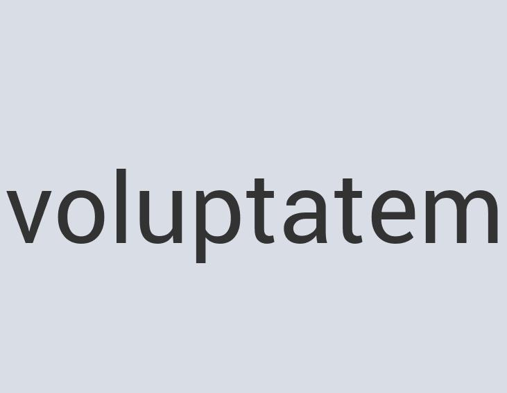 Aerodynamic Leather Princess Plex