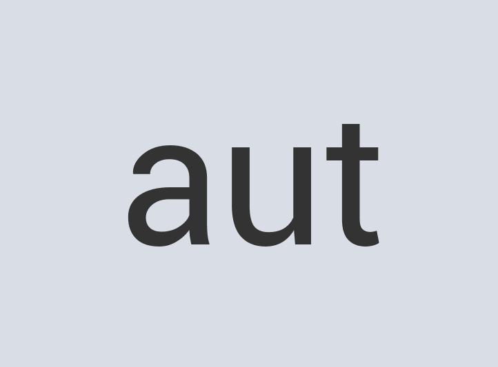 Aerodynamic Steel Frau Lean