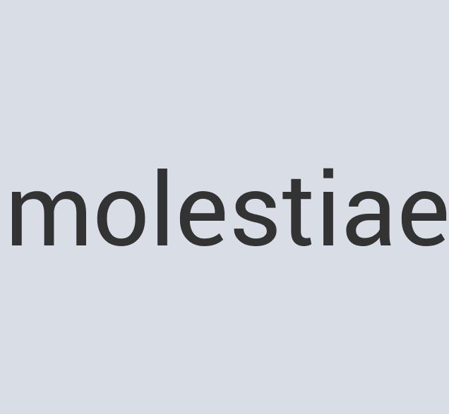 Aerodynamic Steel Frau Lean