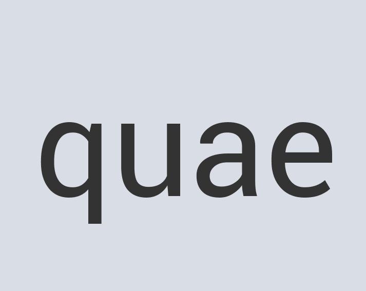 Aerodynamic Leather Princess Plex