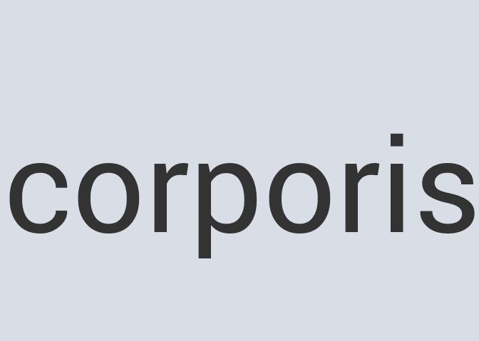 Aerodynamic Aluminum Plan Along