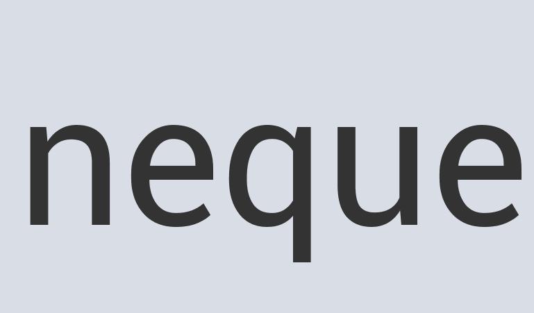 Aerodynamic Bronze Magic Leather